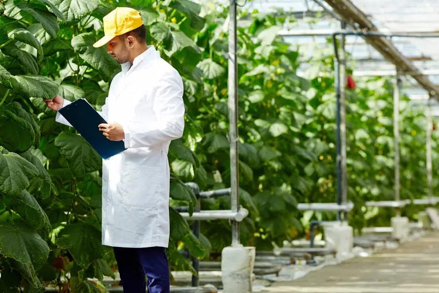 Ingénieur Agronome